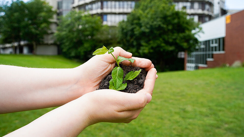 In two hands a small plant grows from earth. In the background blurred the green campus of Paderborn University.