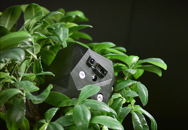 Foto (Universität Paderborn): Pflanzen und Roboter sollen im Projekt „flora robotica“ künftig untereinander und mit dem Menschen kommunizieren können.