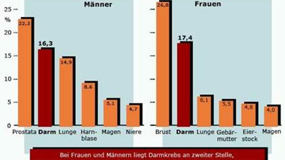 Grafik: Prozentualer Anteil der Krebsarten an den Krebsneuerkrankungen in Deutschland (Quelle: Robert-Koch-Institut, 2006)