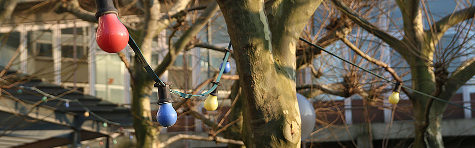 Bunte Lichterketten verleihen dem Campus im Winter Farbe.