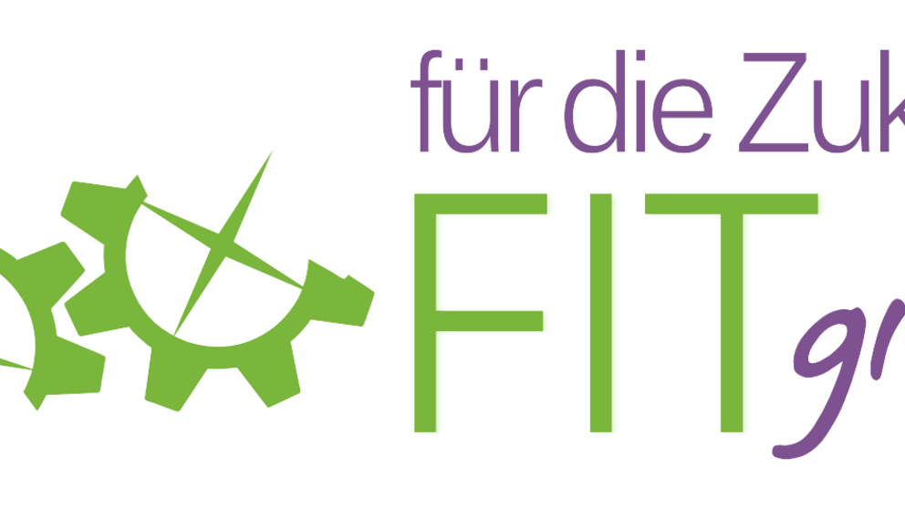 Logo FITgirls