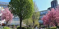 – Campus im Frühling mit (von links) den Gebäuden ME (Mensa, Grill Café und Räumlichkeiten des AStA) und B - Foto: Simon Ratmann
