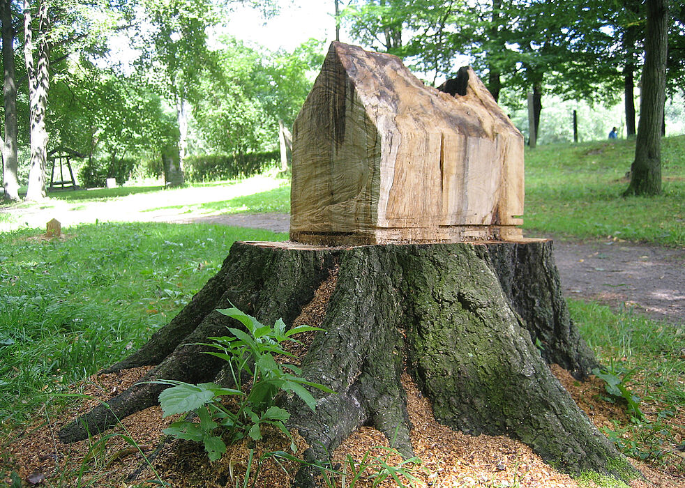 Foto: Baumhaus VII, 2011