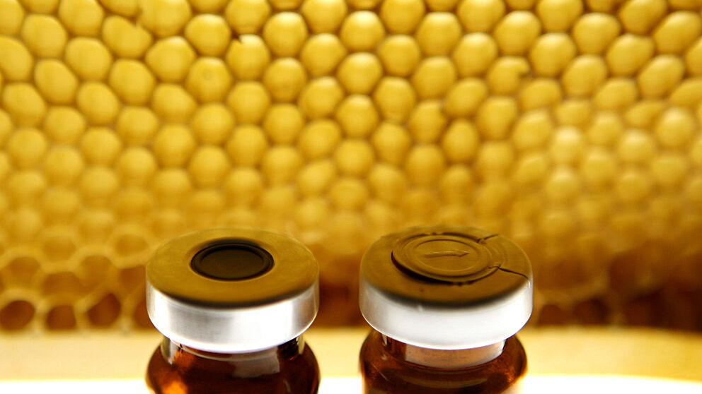 Foto (Adelheid Rutenburges): Honig sollte ein reines Naturprodukt sein und keine unerlaubten Mittel enthalten. Auf dem Foto: Bienenwaben und Antibiotika.