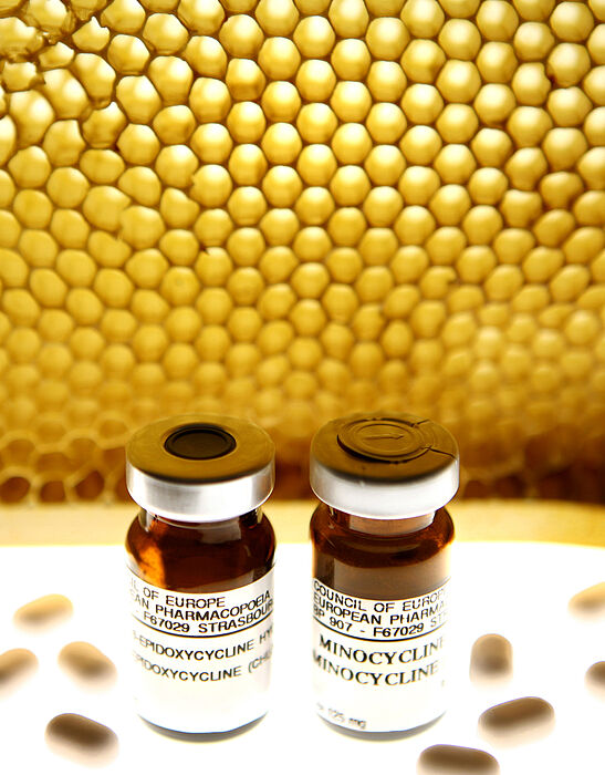 Foto (Adelheid Rutenburges): Honig sollte ein reines Naturprodukt sein und keine unerlaubten Mittel enthalten. Auf dem Foto: Bienenwaben und Antibiotika.