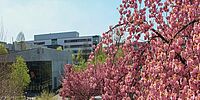  – Campus im Frühling mit Hörsaal G und Gebäude O im Hintergrund 
- Foto: Simon Ratmann