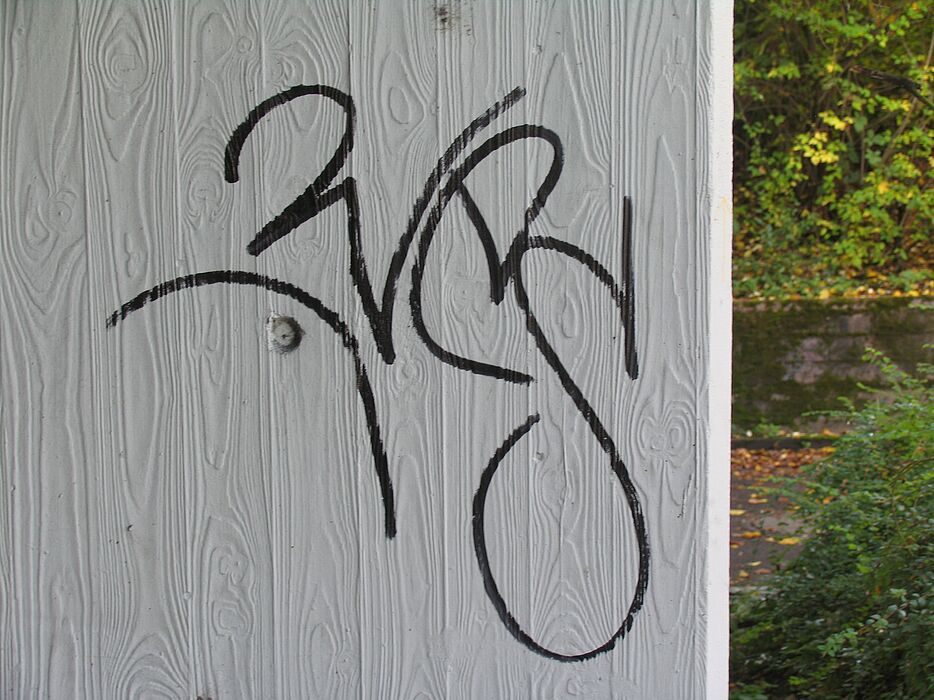 Abbildung (Universität Paderborn): Tags sind die linearen Signaturen der Sprüher. Sie werden mit der Sprühdose oder mit dem Farbstift angebracht. Sie können isoliert oder als Signatur zu einem größeren, bildhaften Graffiti (Writing/Style) auftreten.