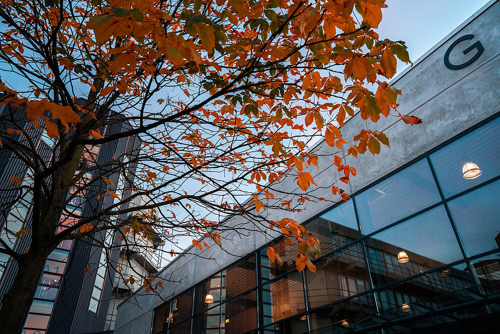 G-Hörsaal mit Baum im Vordergrund