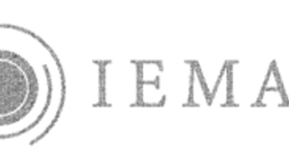 Abbildung: Logo IEMAN