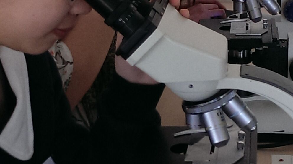 Foto (Universität Paderborn, Anja Demir): Schülerinnen im Physik-Workshop „Auge in Auge mit dem Wasserfloh“.
