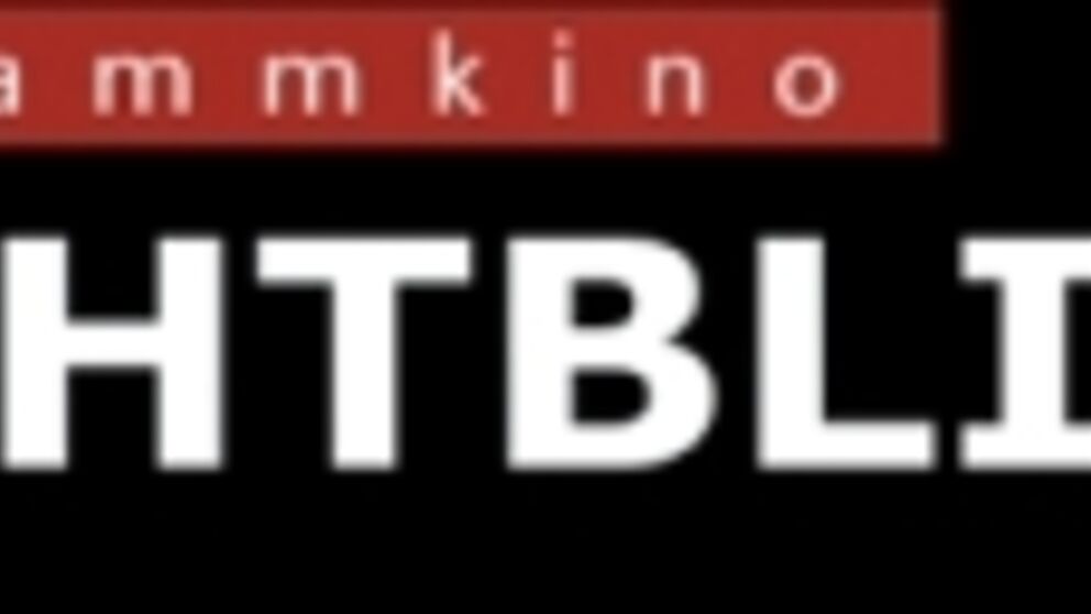 Abbildung: Logo Lichtblick