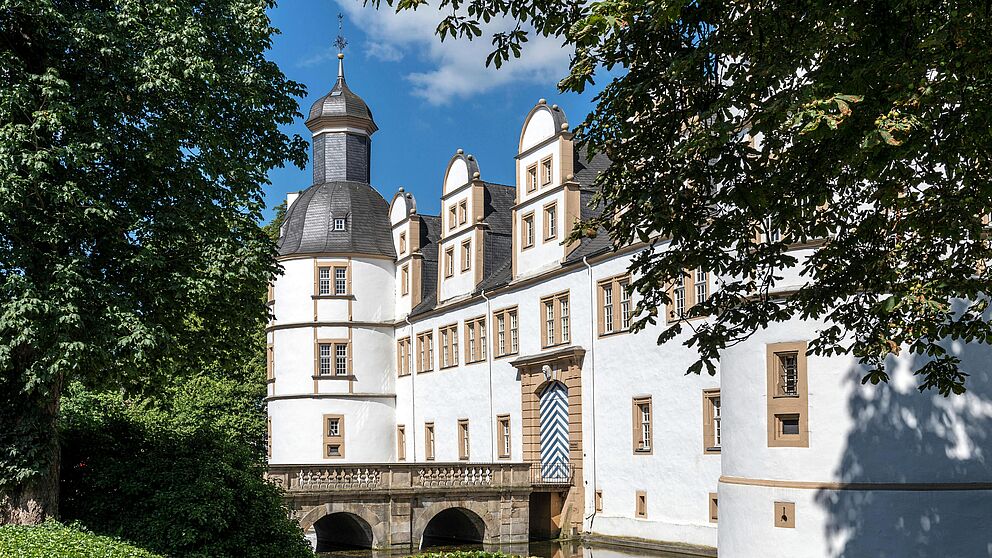 Paderborner Gebäude, links und rechts Bäume