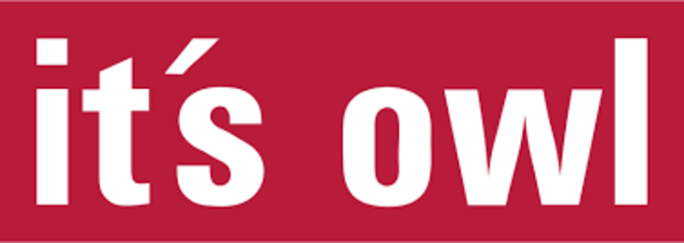 Logo it's OWL