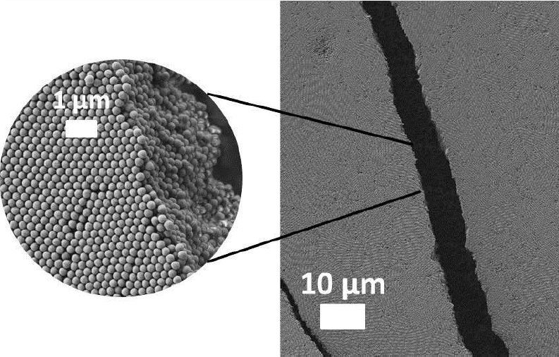 Abbildung: Anordnung von Kolloiden aus vernetztem Polystyrol. Die Durchmesser einzelner Kolloide betragen ca. 0,00025 mm. Der auf der linken Abbildung gezeigte weiße Balken hat eine Länge von 0,001 mm.