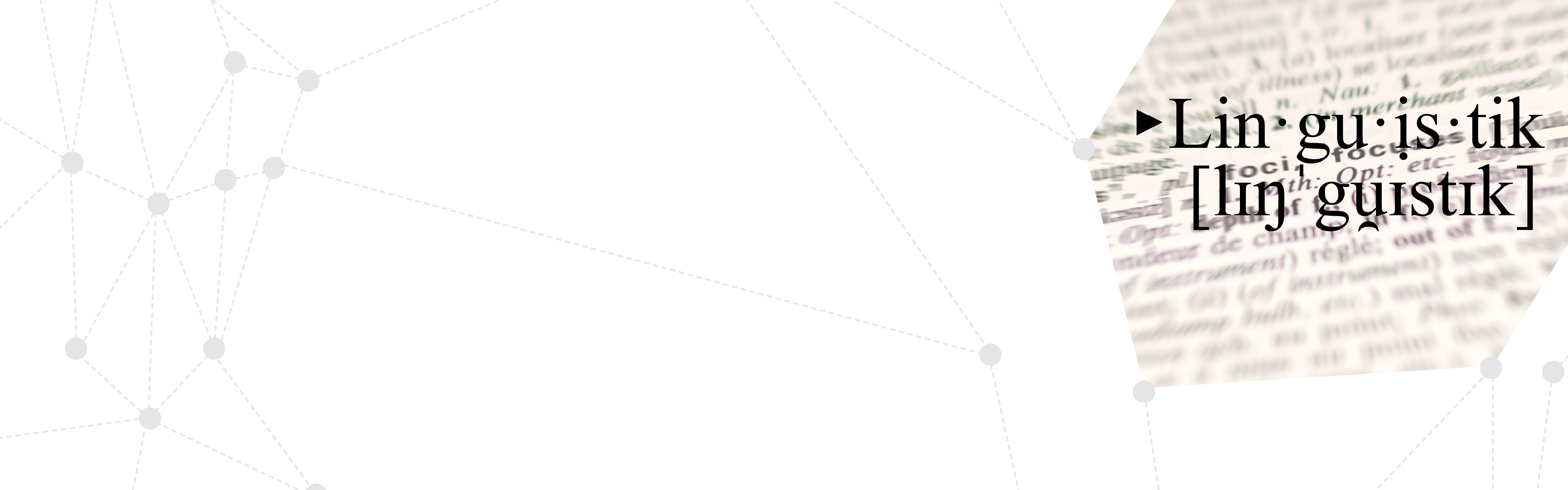 bachelor in linguistics